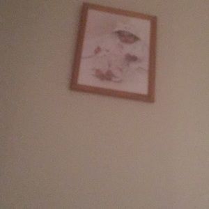 Meet your Posher, Sukhbir